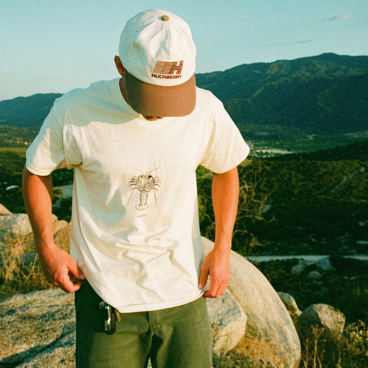 The Lobster T