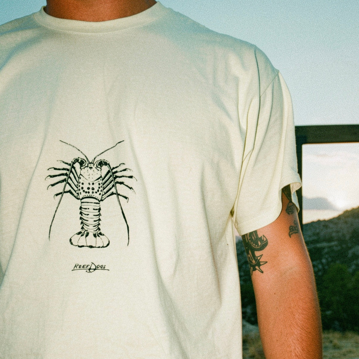 The Lobster T