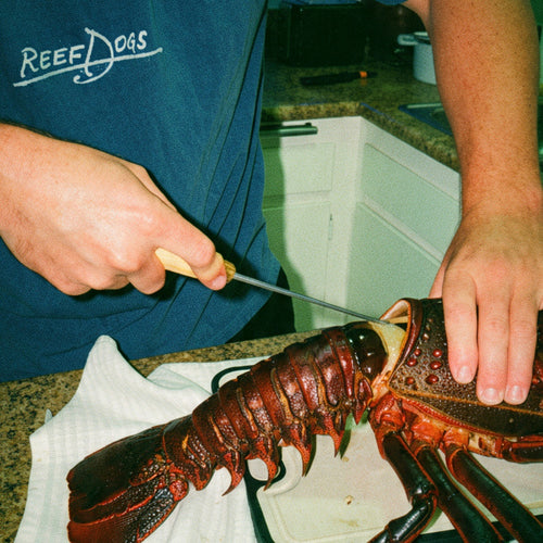 Reef Dogs T