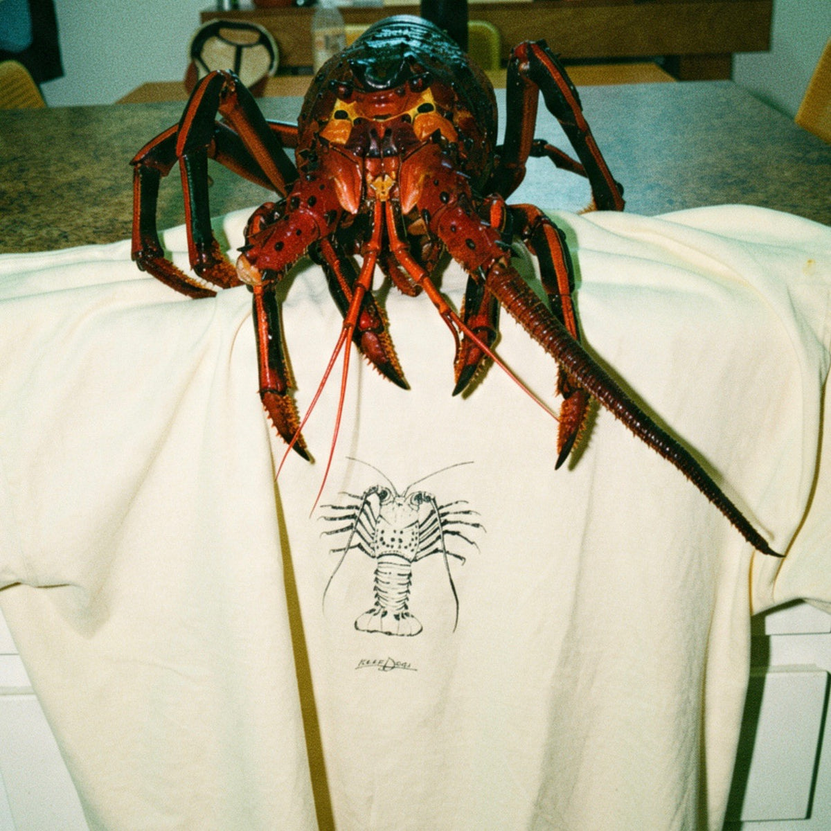 The Lobster T
